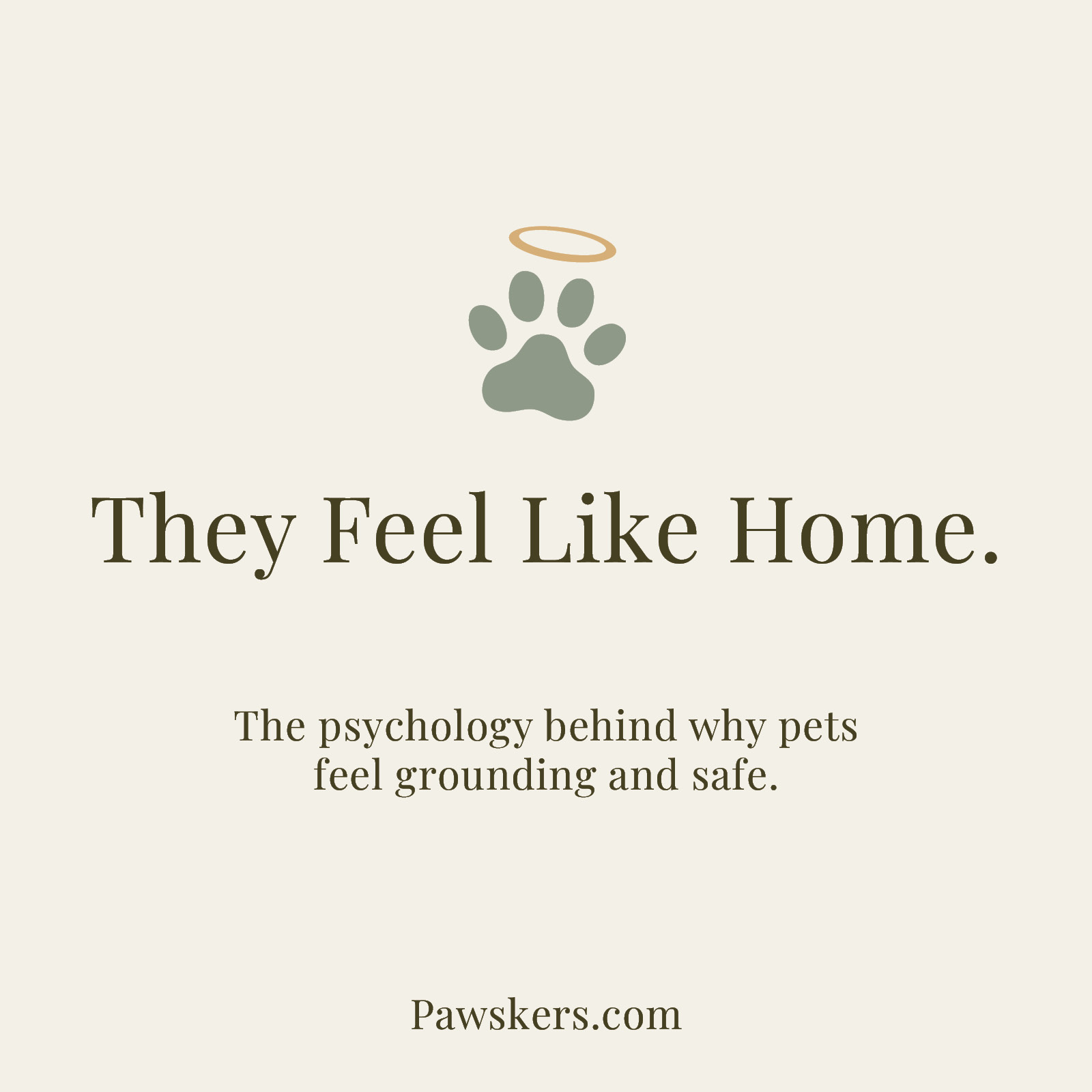 Minimalist beige featured image with sage paw print and halo icon reading “They Feel Like Home” and subtitle about the psychology behind why pets feel grounding and safe.