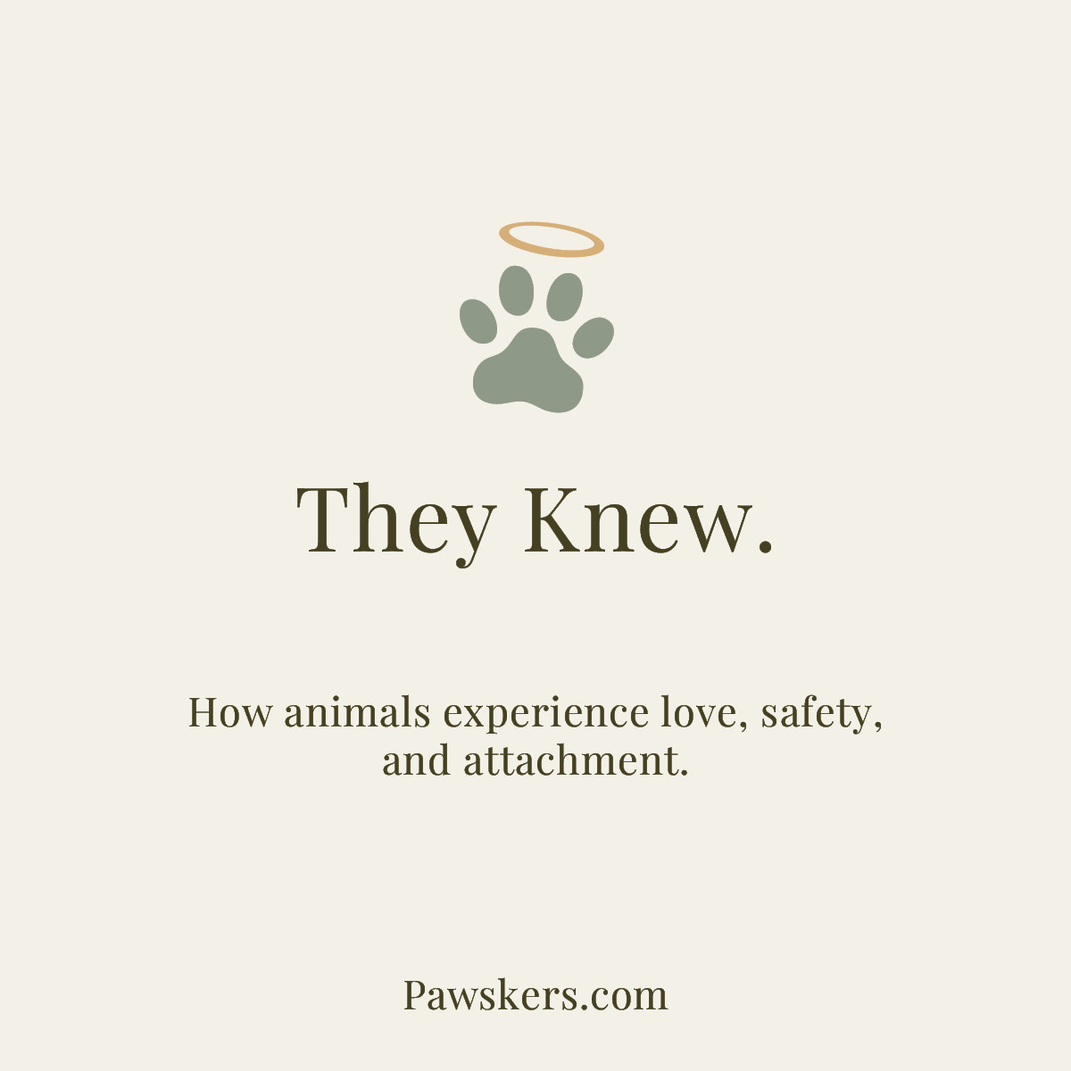 Minimal beige square graphic with a sage green paw print and gold halo above the words “They Knew. How animals experience love, safety, and attachment.”