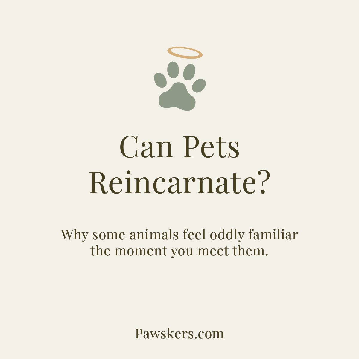 Can Pets Reincarnate? minimalist featured image with halo paw icon and subtitle about animals feeling familiar when you meet them