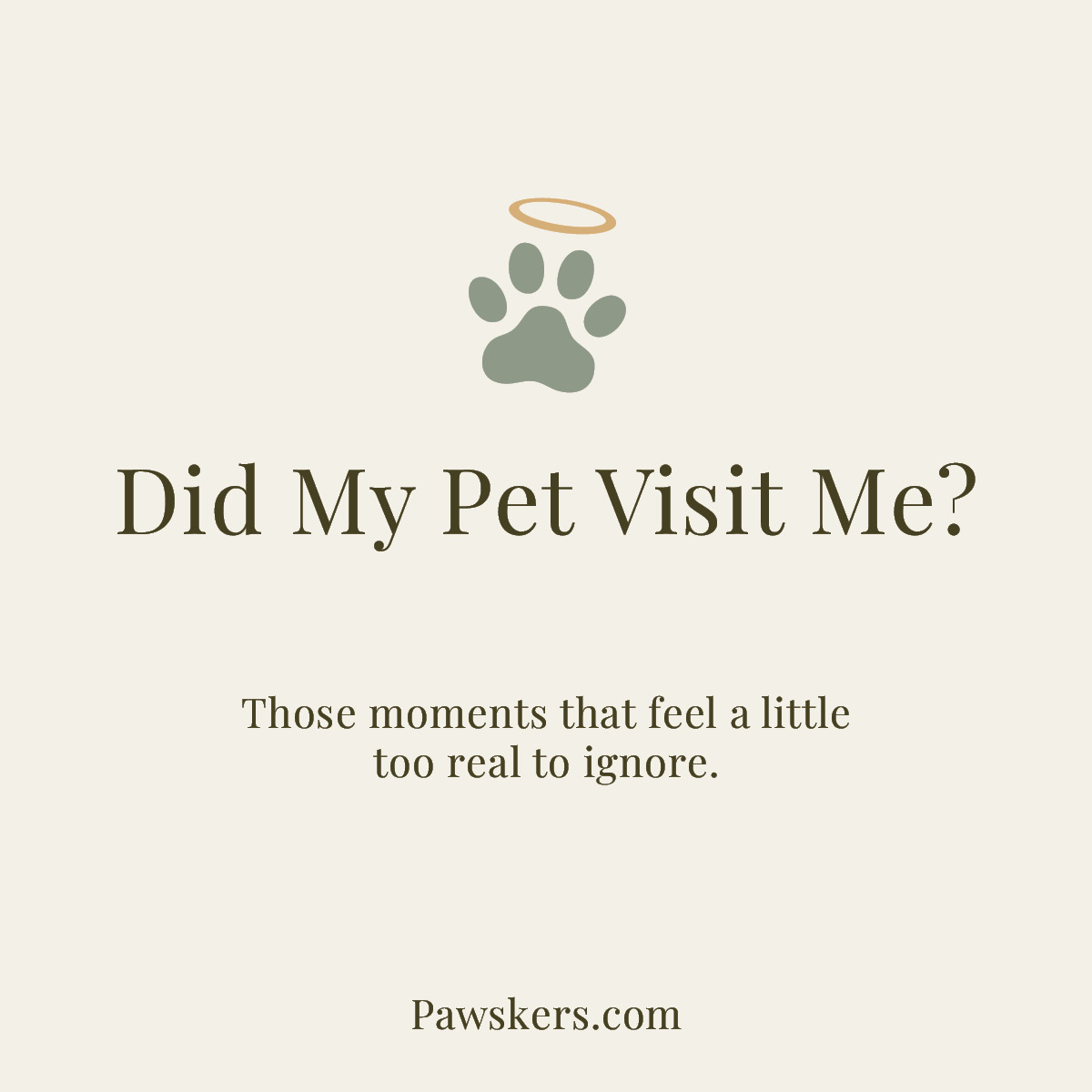 Minimalist featured image reading “Did My Pet Visit Me?” with halo paw icon and subtitle about signs and dreams after pet loss
