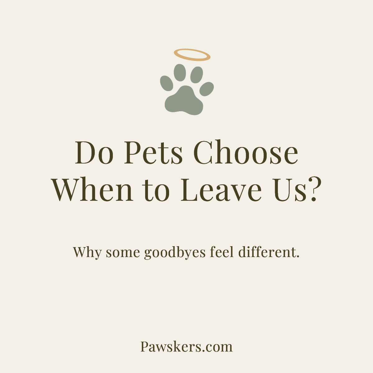 Minimalist featured image reading “Do Pets Choose When to Leave Us?” with halo paw icon and subtitle about meaningful final moments