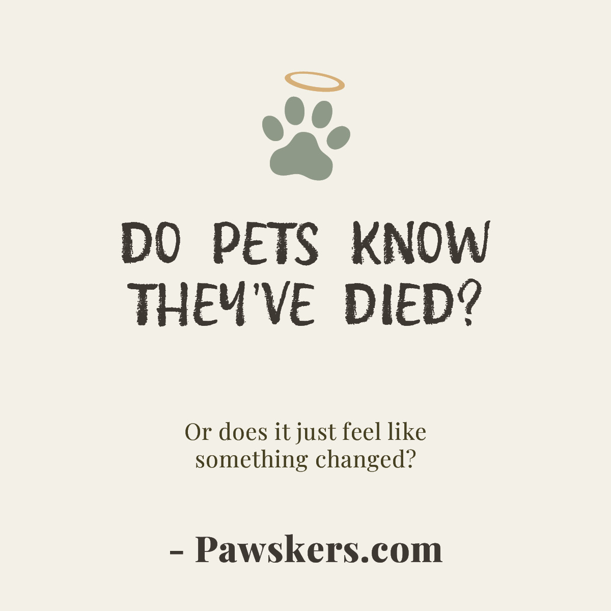 Minimalist featured image reading “Do Pets Know They’ve Died?” with halo paw icon and subtitle about awareness and perception after death