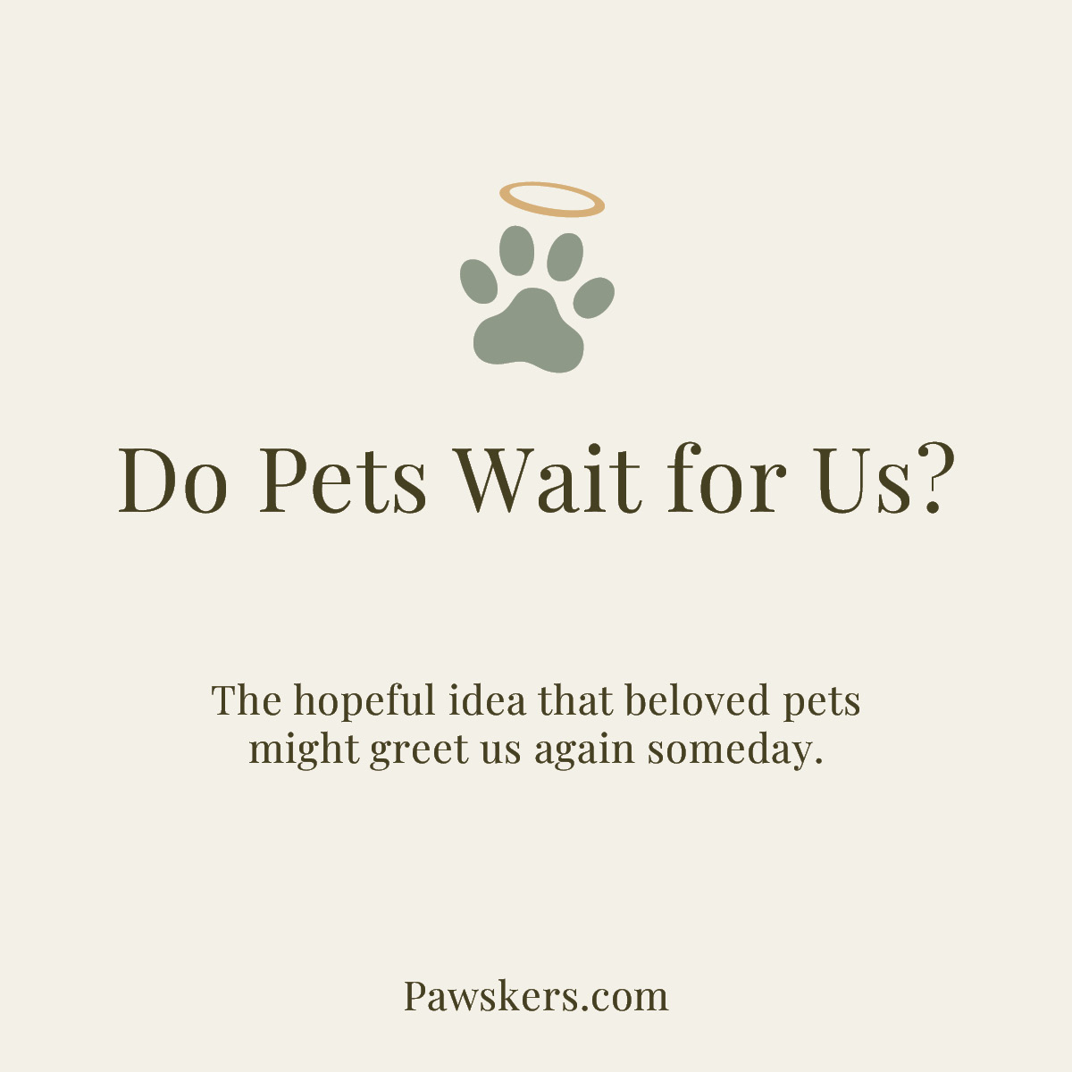 Minimalist Pawskers featured image reading “Do Pets Wait for Us?” about whether pets may wait for their humans in the afterlife.
