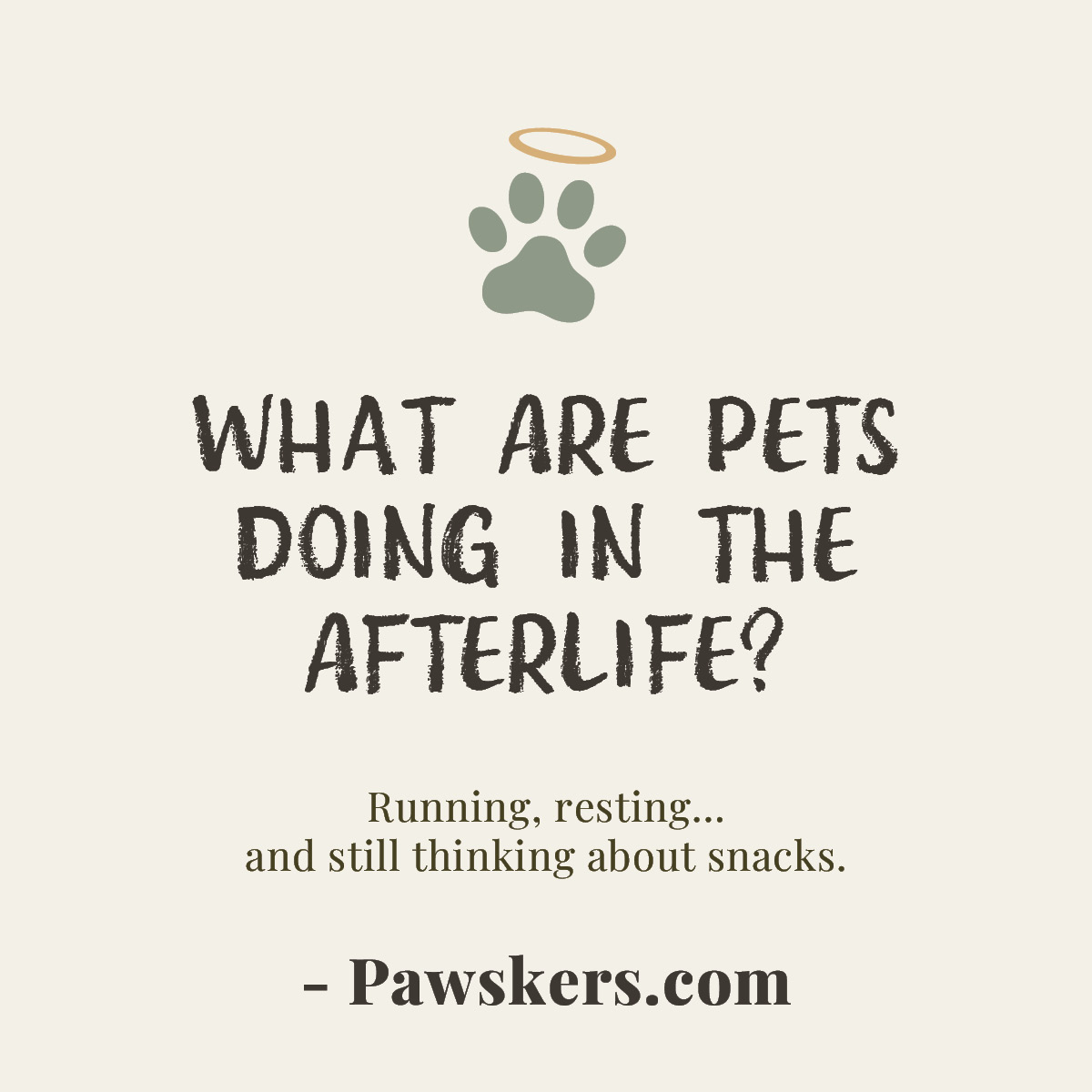 Minimalist featured image reading “What Are Pets Doing in the Afterlife?” with halo paw icon and subtitle about pets still being active and food-focused after death