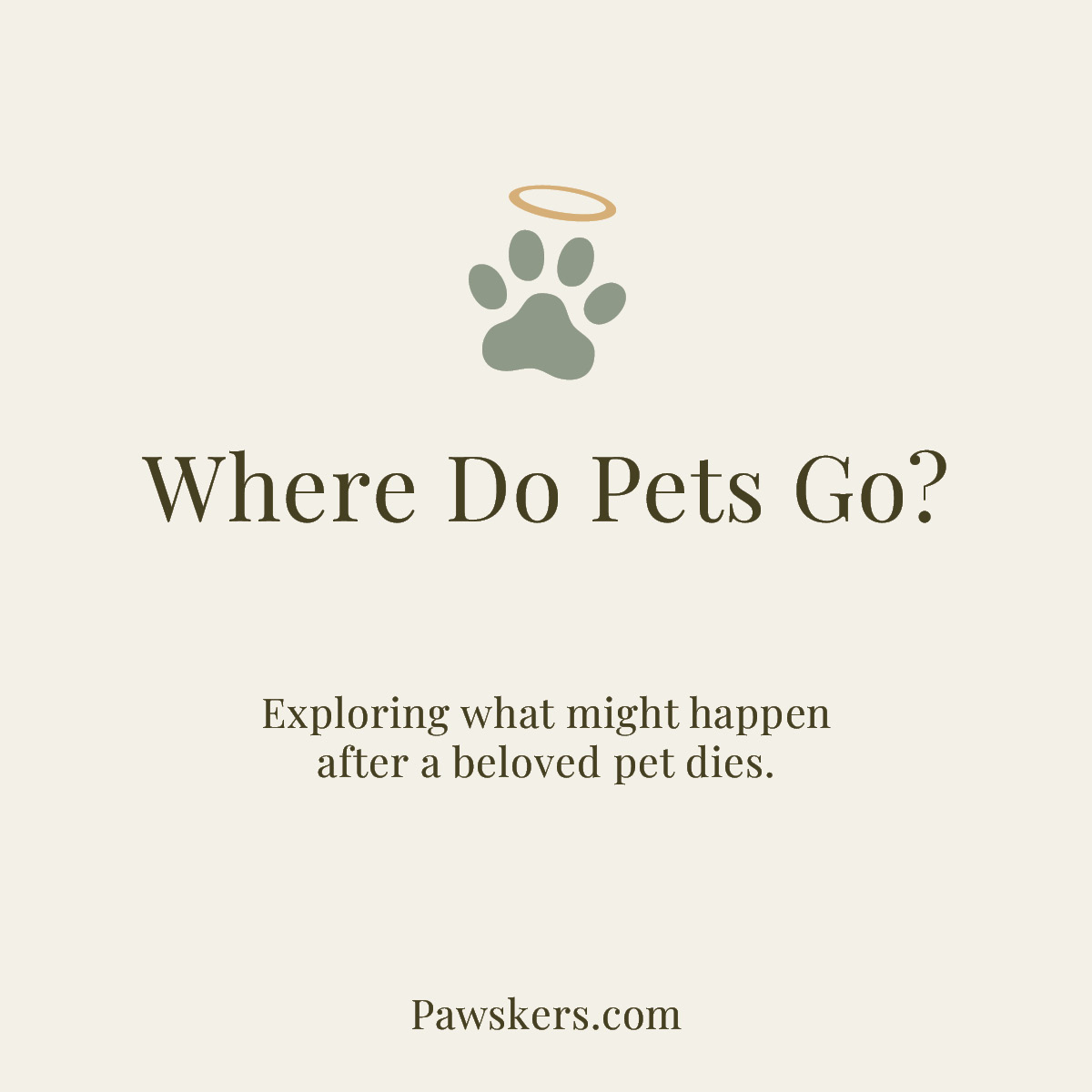 Minimalist Pawskers featured image reading “Where Do Pets Go?” about what may happen after a beloved pet dies.