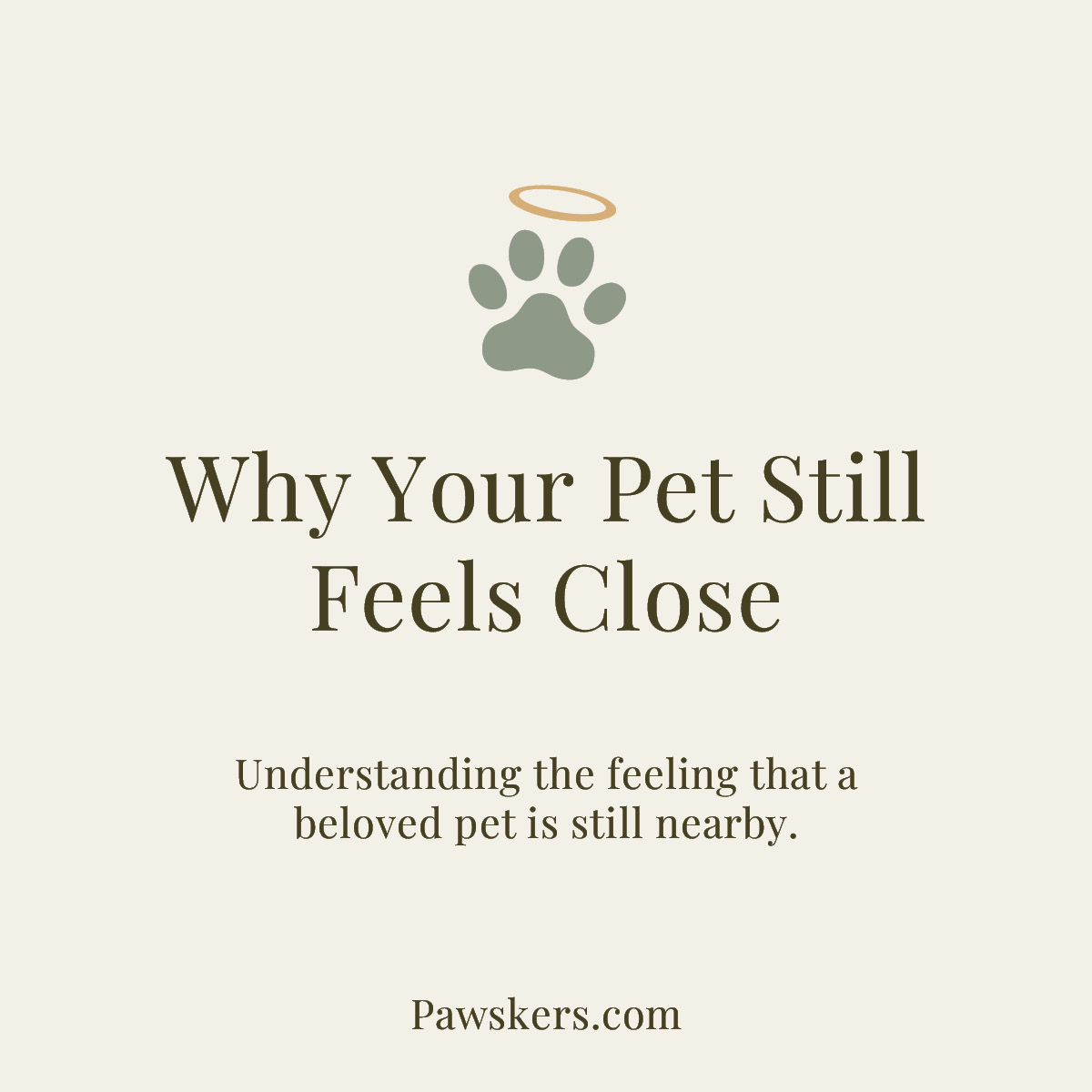 Minimalist Pawskers featured image reading “Why Your Pet Still Feels Close” about feeling a pet’s presence after loss.